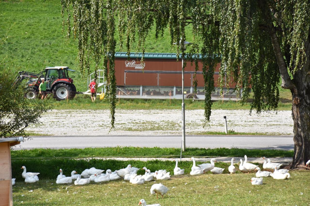 Puttererseehof Aigen im Ennstal Dış mekan fotoğraf